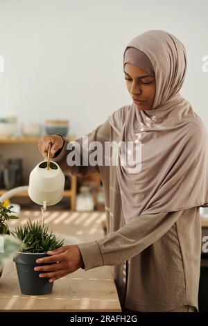 Junge Hausfrau im Hidschab gießt Wasser auf eine grüne Hauspflanze, die im Blumentopf wächst, während sie an der Küchentheke vor der Kamera steht Stockfoto