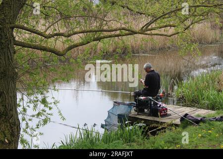 Fischer, die auf dem Selby Canal North Yorkshire im Vereinigten Königreich fischen Stockfoto