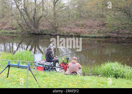 Fischer, die auf dem Selby Canal North Yorkshire im Vereinigten Königreich fischen Stockfoto