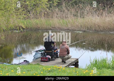 Fischer, die auf dem Selby Canal North Yorkshire im Vereinigten Königreich fischen Stockfoto