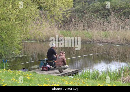Fischer, die auf dem Selby Canal North Yorkshire im Vereinigten Königreich fischen Stockfoto