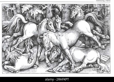 Gruppe von sieben Wildpferden 1534 von Hans Baldung Stockfoto