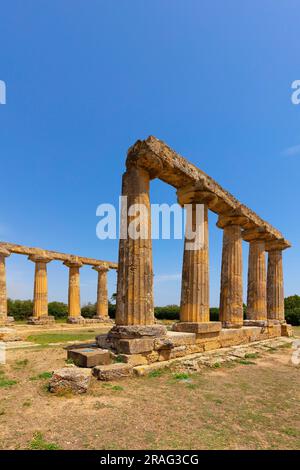 Tempel der Hera, Palatintische, Bernalda, Matera, Basilikata, Italien Stockfoto