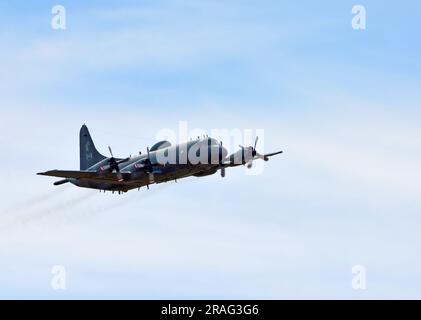 RCAF CP 140 Lockheed Aurora Seepatrouillenflugzeug, das von der Royal Canadian Air Force im Flug betrieben wird. Stockfoto