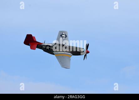 Vintage P51 Mustang „Tall in the Saddle“ A33 Rotschwanz im Flug. Stockfoto