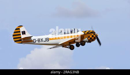 Yakovlev Yak-52 im Flug. Stockfoto