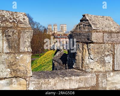 Großbritannien, North Yorkshire, York, Stadtmauer mit Stadtzentrum und York Minster in der Ferne. Stockfoto