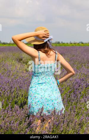 Ein junges Mädchen mit Strohhut und kurzen Kleiderstücken mitten im Lavendelfeld in Blüte im Sommer Stockfoto