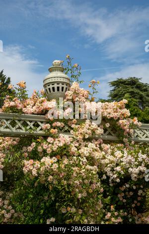 Der National Trust Bodnant Gardens in der Nähe von Conway North Wales Stockfoto