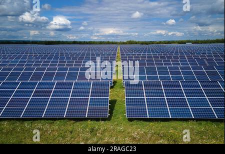 Luftaufnahme eines großen nachhaltigen Elektrokraftwerks mit vielen Reihen von Photovoltaik-Solarzellen zur Erzeugung sauberer elektrischer Energie. Erneuerbar Stockfoto