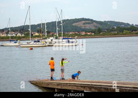 Kinder genießen einen Tag am Meer beim Fischen von Krabben vor dem Hafen im North Wales Resort in Conway Stockfoto