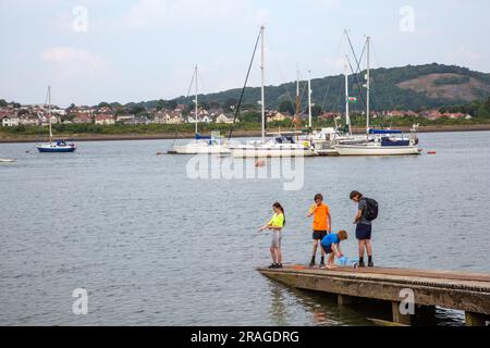 Kinder genießen einen Tag am Meer beim Fischen von Krabben vor dem Hafen im North Wales Resort in Conway Stockfoto