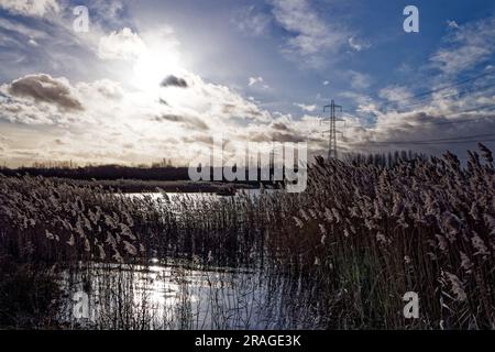 Old Moor Feuchtgebiete, Dearne Valley, South Yorkshire Stockfoto