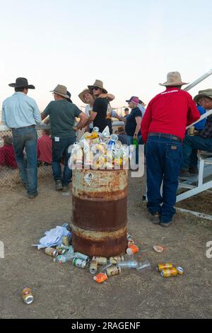 Behälter überflutet mit leeren Bierdosen, Brunette Downs Cattle Station, Northern Territory, NT, Australien Stockfoto