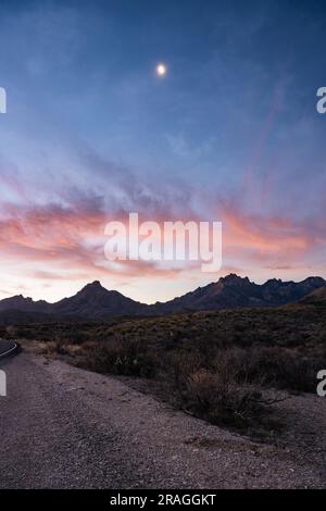 Der Mond liegt hoch im Himmel über den Chisos Mountains bei Sunrise in Big Bend Stockfoto