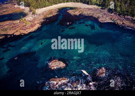 Luftaufnahme von Cape Scott und Umgebung, Vancouver Island, BC, Kanada Stockfoto