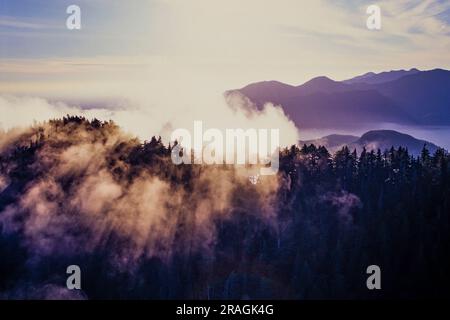 Luftaufnahme von Clayoquot Sound, Vancouver Island, BC, Kanada Stockfoto