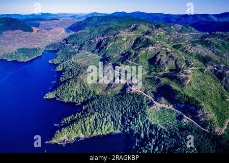 Luftbild des Freischneideforschens in Vancouver, Island, BC, Kanada Stockfoto