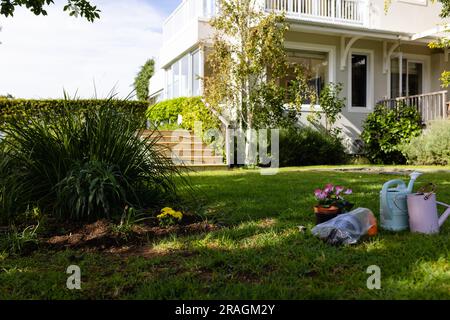 Bewässerungsdosen mit Blumentöpfen und Schmutz auf Grünland im Hof vor dem Haus Stockfoto