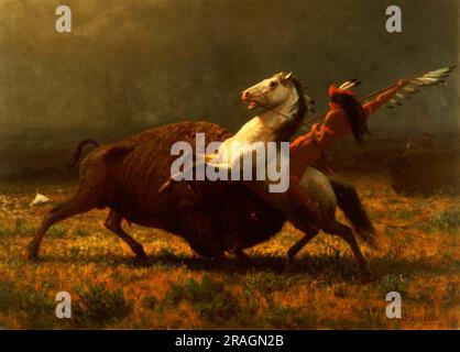 Der Letzte der Büffel II Stockfoto