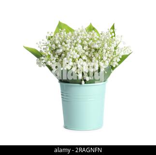 Eimer mit wunderschönen Lilien aus dem Tal, isoliert auf Weiß Stockfoto