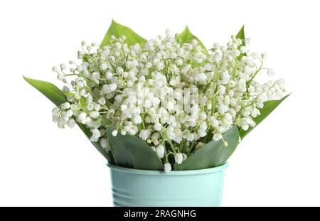 Eimer mit wunderschönen Lilien aus dem Tal auf weißem Hintergrund Stockfoto