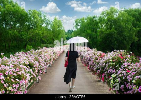 Junge Frau mit Schirm, die an einem sonnigen Tag mit blauem Himmel und weißen Marshmallow-Wolken im Blumengarten zu blühenden grünen Bäumen spaziert Stockfoto