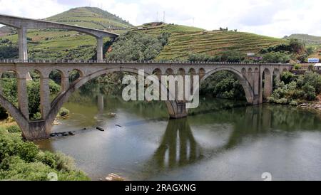 Brücken über den Douro Fluss östlich von Porto in der portugiesischen Weinregion, terrassenförmig angelegte Weinberge auf Hängen im Hintergrund, Peso da Regua, Portugal Stockfoto