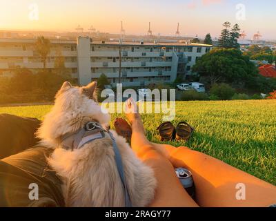 Den Sonnenuntergang mit der Katze beobachten, Fremantle Western Australia Stockfoto