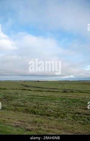 Route auf Wolkenfahrt durch die Landschaft von Uruguay. Stockfoto