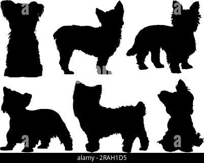 Set von Yorkshire Dog Silhouette Stock Vektor