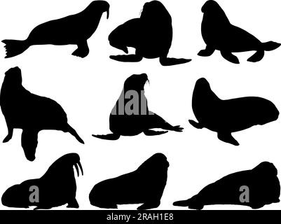 Set Walrus Silhouette Stock Vektor