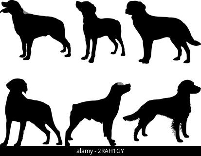 Set mit „Bretany Dog“-Silhouette Stock Vektor