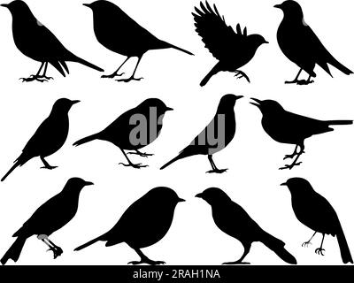 Ein Satz Robin Bird Silhouette Stock Vektor