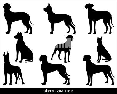 Set mit „Great Dane Dog“-Silhouette Stock Vektor