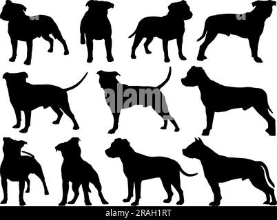 Set mit Staffordshire-Hundesilhouette Stock Vektor