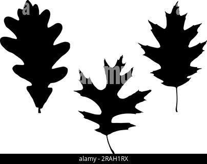Set mit Eichenblatt-Silhouette Stock Vektor