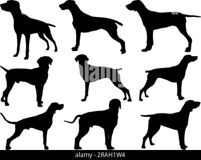 Set mit „Pointer Dog“-Silhouette Stock Vektor