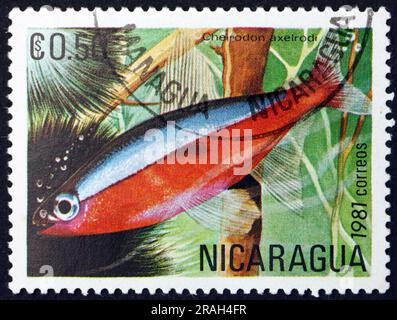 NICARAGUA - CIRCA 1981: Ein in Nicaragua gedruckter Stempel zeigt, dass der Kardinal tetra, Cheirodon axelrodi, ein tropischer Süßwasserfisch ist, der im oberen Teil heimisch ist Stockfoto