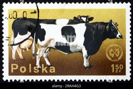 POLEN - CA. 1975: Ein in Polen gedruckter Stempel zeigt Rinder, Nutztiere, ca. 1975 Jahre alt Stockfoto