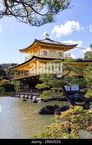 Kinkaku-ji Tempel der Goldene Pavillon Tempel in Kyoto, Japan, Frühjahr 2023, ein Zen buddhistischer Tempel Weltkulturerbe, Japan, Asien. Stockfoto