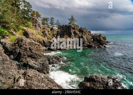 Die felsige Küste von Vancouver Island am Creyke Point im East Sooke Regional Park, British Columbia, Kanada. Stockfoto