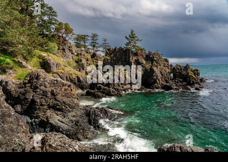 Die felsige Küste von Vancouver Island am Creyke Point im East Sooke Regional Park, British Columbia, Kanada. Stockfoto