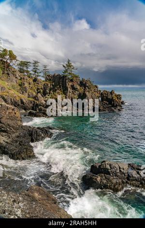 Die felsige Küste von Vancouver Island am Creyke Point im East Sooke Regional Park, British Columbia, Kanada. Stockfoto