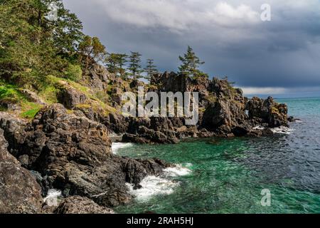 Die felsige Küste von Vancouver Island am Creyke Point im East Sooke Regional Park, British Columbia, Kanada. Stockfoto