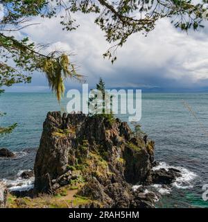 Die felsige Küste von Vancouver Island am Creyke Point im East Sooke Regional Park, British Columbia, Kanada. Stockfoto