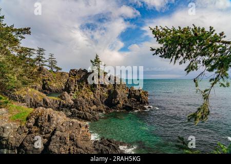 Die felsige Küste von Vancouver Island am Creyke Point im East Sooke Regional Park, British Columbia, Kanada. Stockfoto