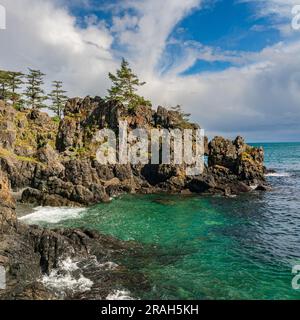 Die felsige Küste von Vancouver Island am Creyke Point im East Sooke Regional Park, British Columbia, Kanada. Stockfoto