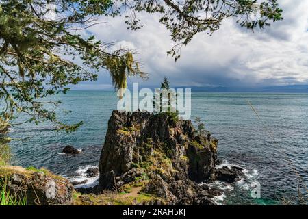 Die felsige Küste von Vancouver Island am Creyke Point im East Sooke Regional Park, British Columbia, Kanada. Stockfoto