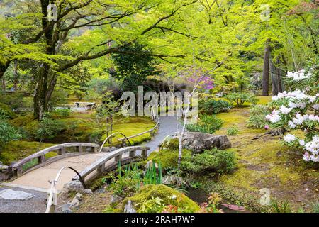 Tenryu - Ji-Tempelgelände, Kyoto, Japan,2023 und sein berühmter malerischer Zen-Garten, Frühlingswetter, Japan, Asien,2023 Stockfoto